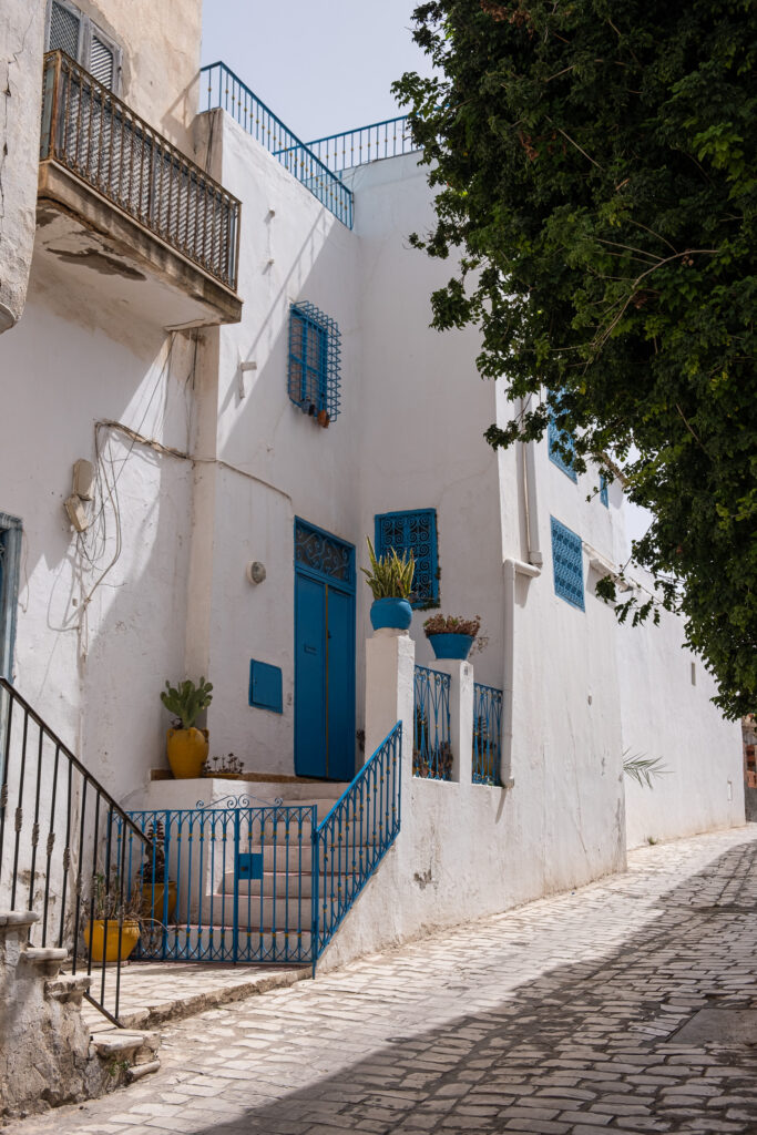 en person står med ryggen til i en av de mange trange gatene i sidi bou said