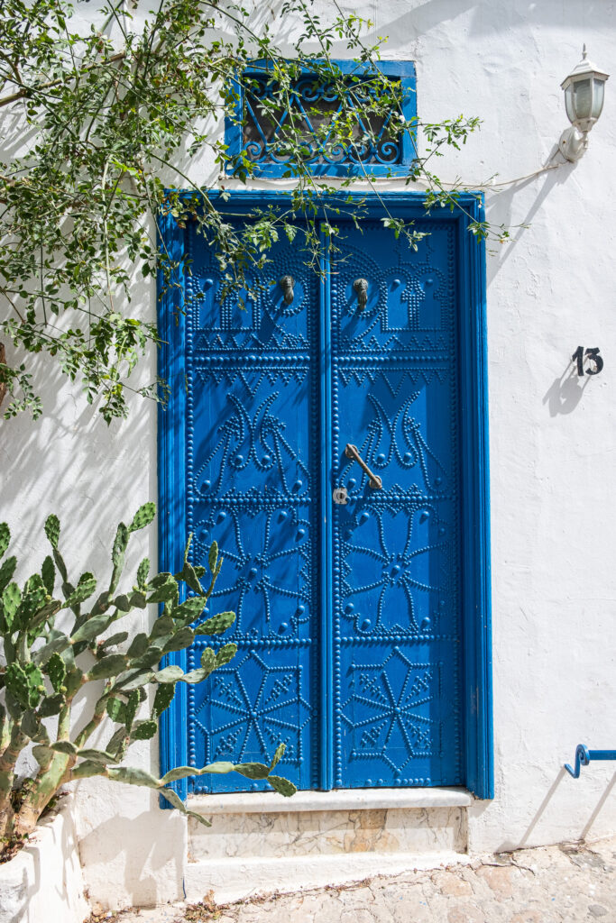 typical sidi bou said - beautiful white house and blue details on door and window