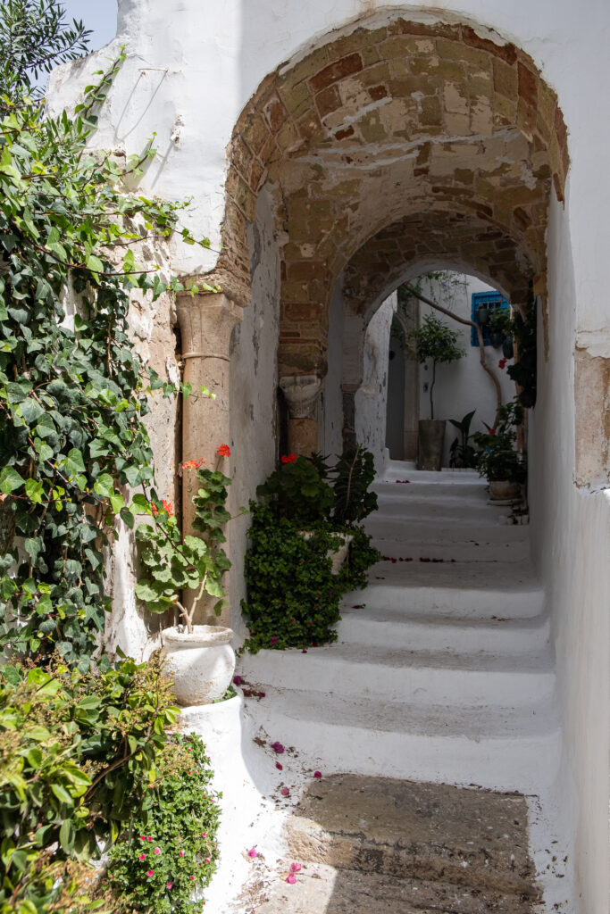 details in a narrow cobblestone street in sidi bou said