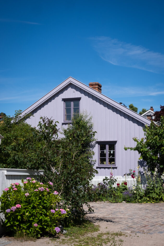 blomster og planter foran et blått trehus