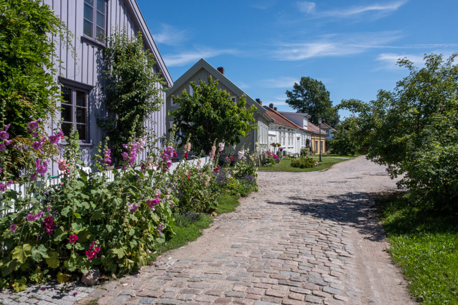 husfasader og fargerike blomster på vaterland