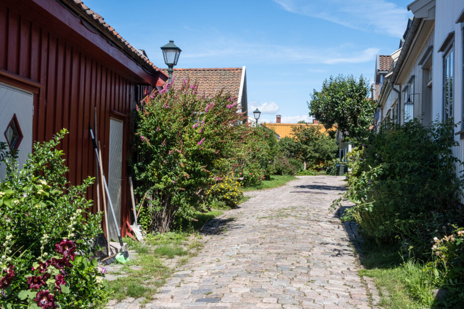 fargerike trehus og en rekke grønne planter og blomster i vaterland