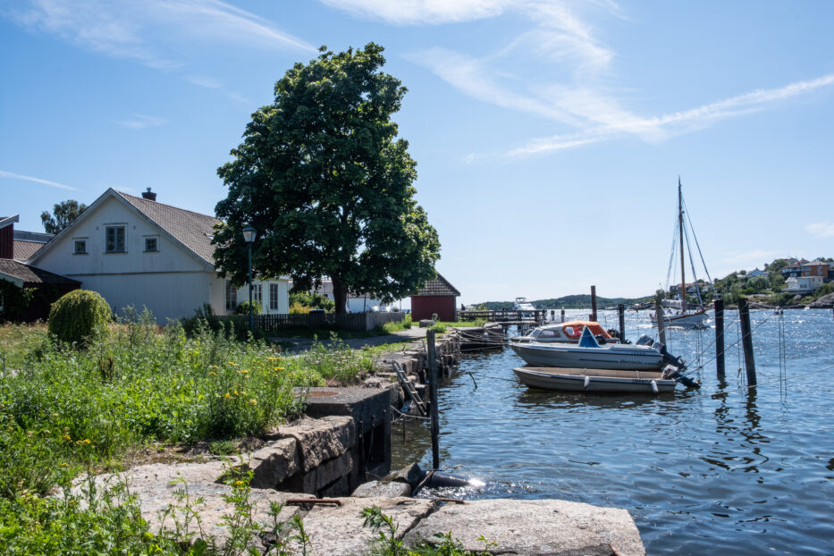 fortøyde båter langs elvekanten av glomma med et stort tre og hus i bakgrunnen