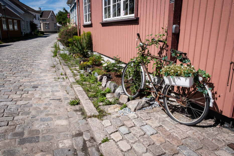 en sykkel dekorert med grønne planter og blomster står lent inntil et rødt trehus på vaterland