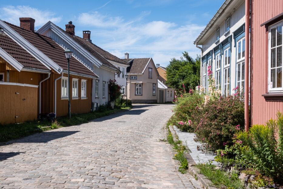 fargerike trehuser og grønne planter på vaterland i fredrikstad