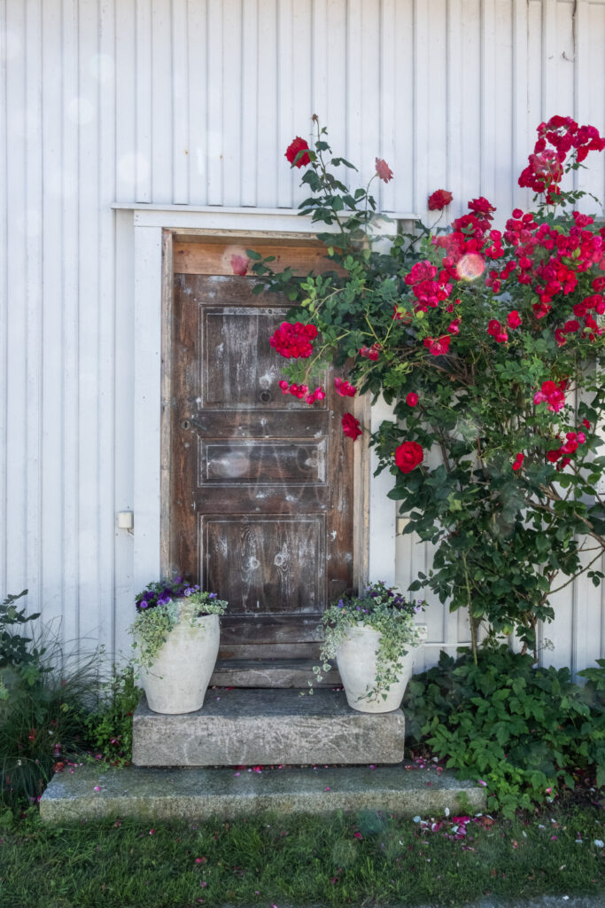 a door and plants in front of a wooden door in vaterland