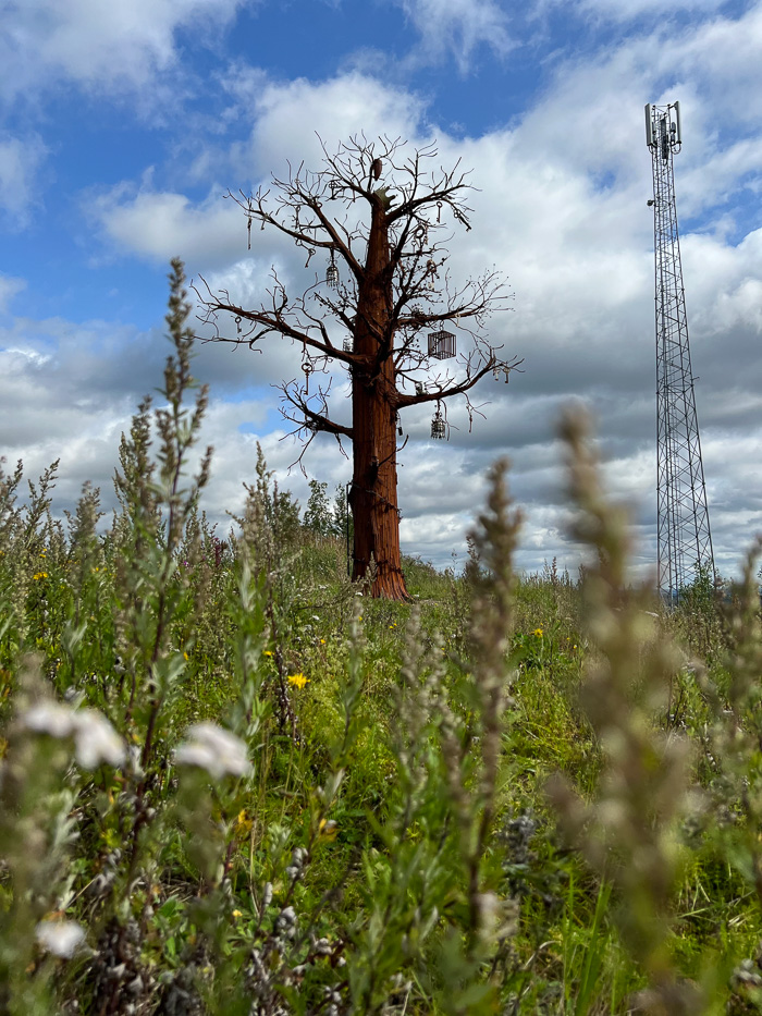 sculpture of a tree at konst på hög