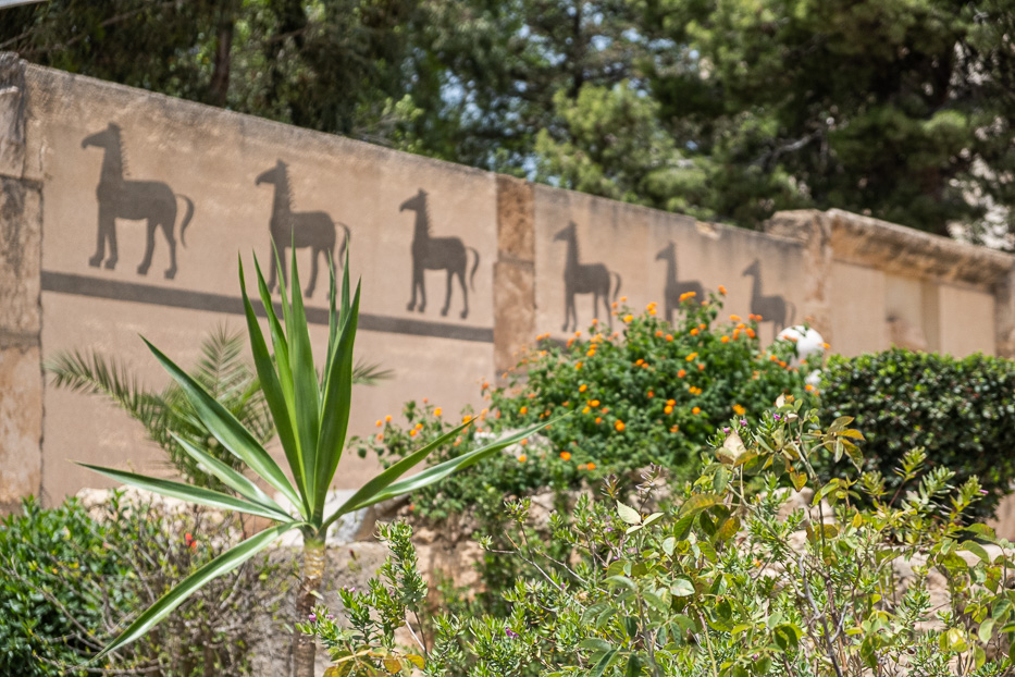 ruiner med gamle malerier av hest i tunisia