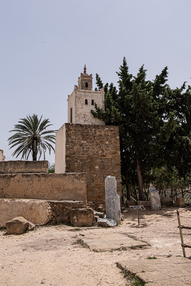 ruin av et steinhus og et palmetre i uthina