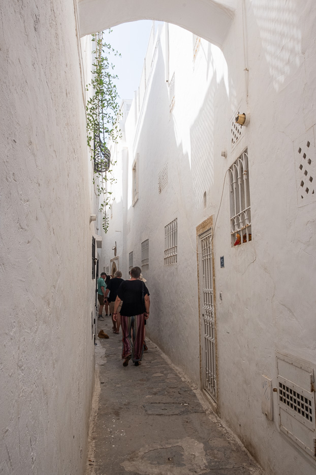 white houses and narrow streets in hammamet