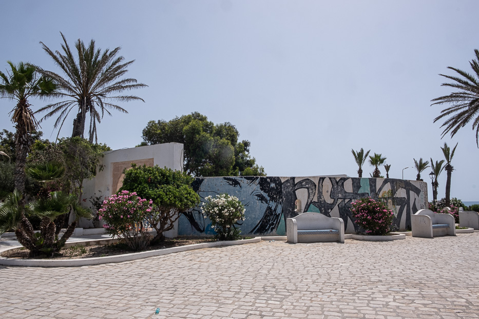 palm trees and street art in hammamet