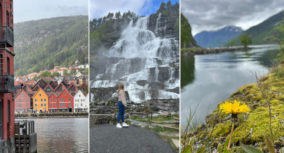bryggen in bergen and nature in the west coast of norway