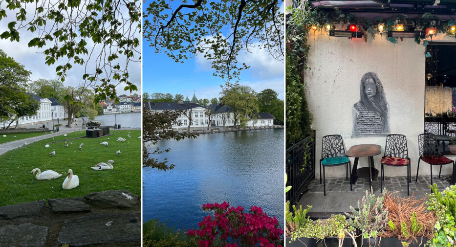 svaner og vakker natur i stavanger, og detaljbilde fra fargegaten