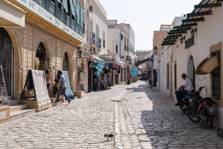 the street in mahdia with a small kitten in the middle